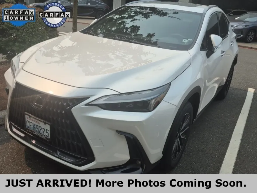 2023 Lexus NX 350h photo 1