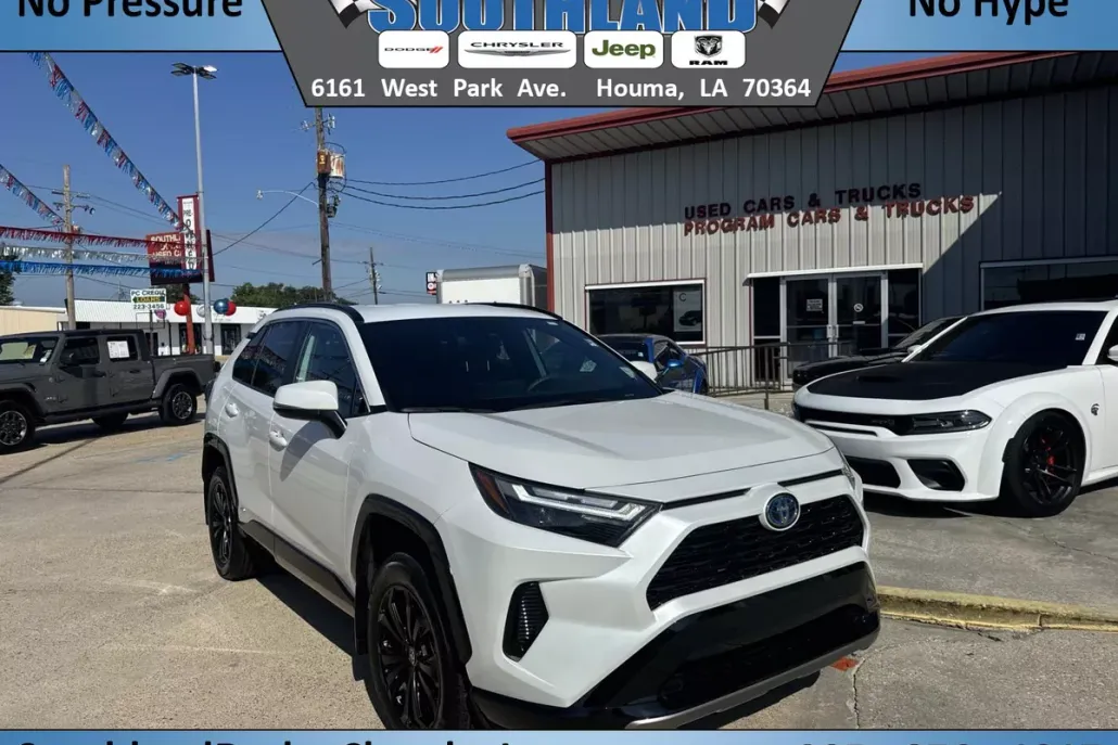 2024 Toyota RAV4 Hybrid SE photo 1