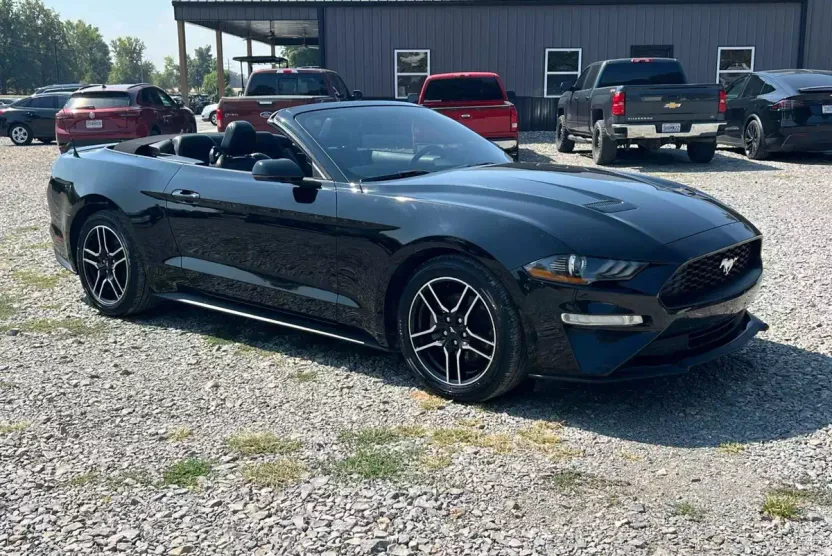 2020 Ford Mustang EcoBoost Premium Convertible photo 1