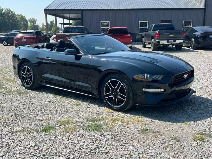 2020 Ford Mustang EcoBoost Premium Convertible photo 1