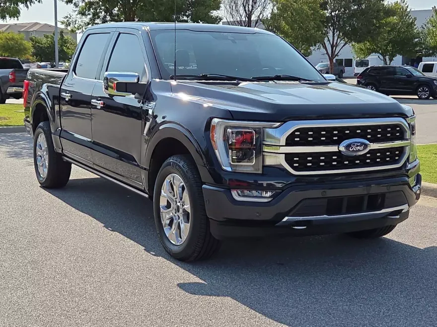 2021 Ford F-150 Platinum photo 1