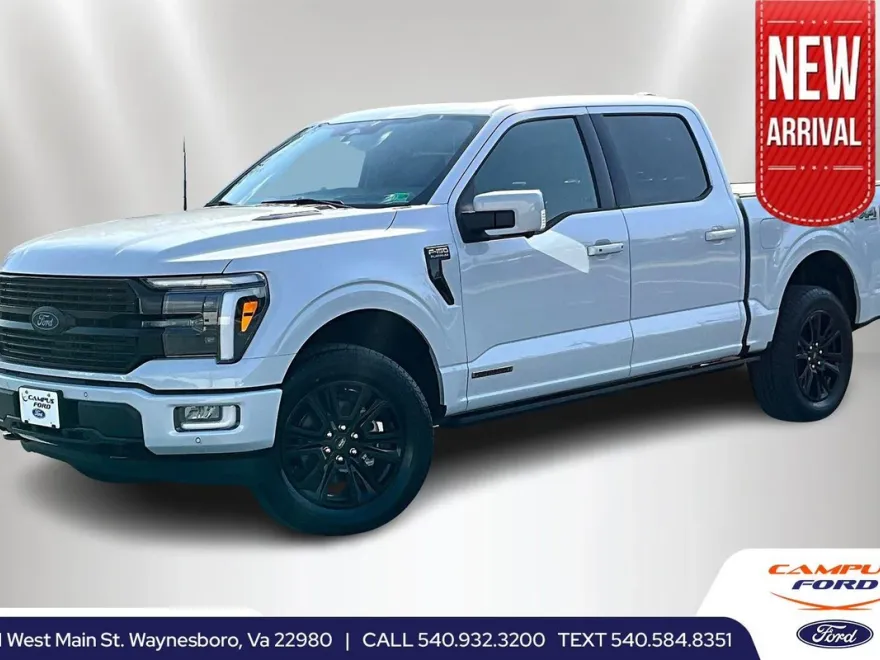 2025 Ford F-150 Platinum photo 1