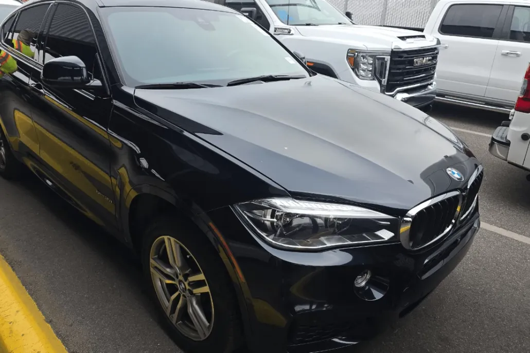 2018 Bmw X6 sDrive35i photo 1