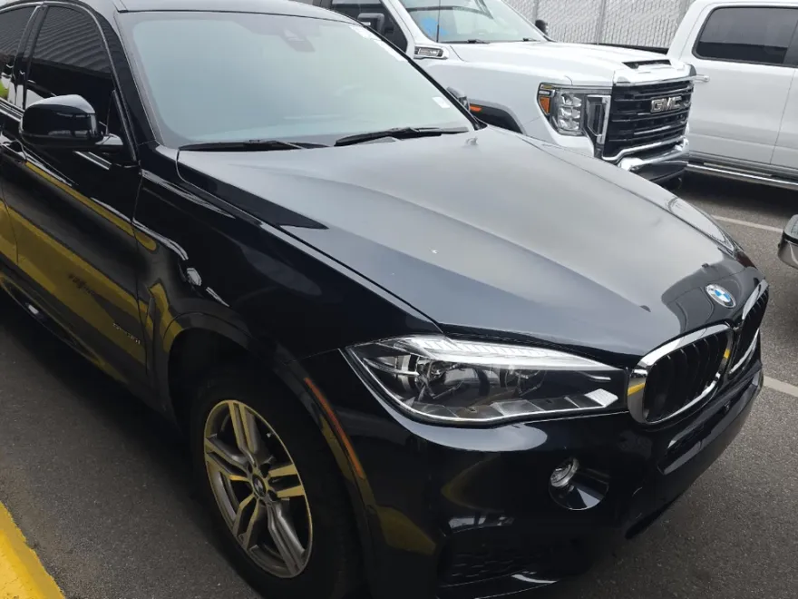 2018 Bmw X6 sDrive35i photo 1