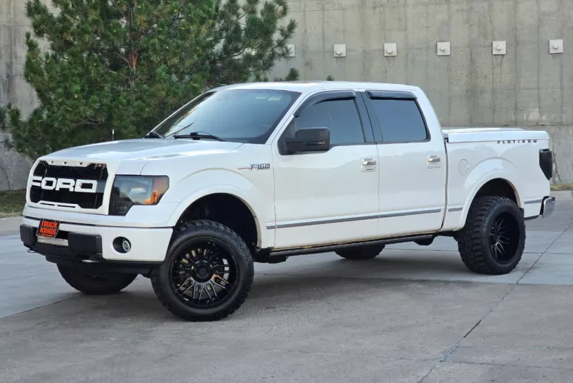 2010 Ford F-150 Platinum photo 1