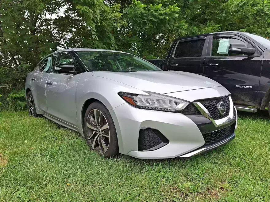 2019 Nissan Maxima SV photo 1