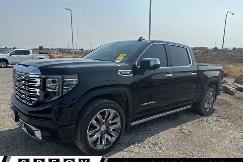 2025 Gmc Sierra 1500 Denali photo 1