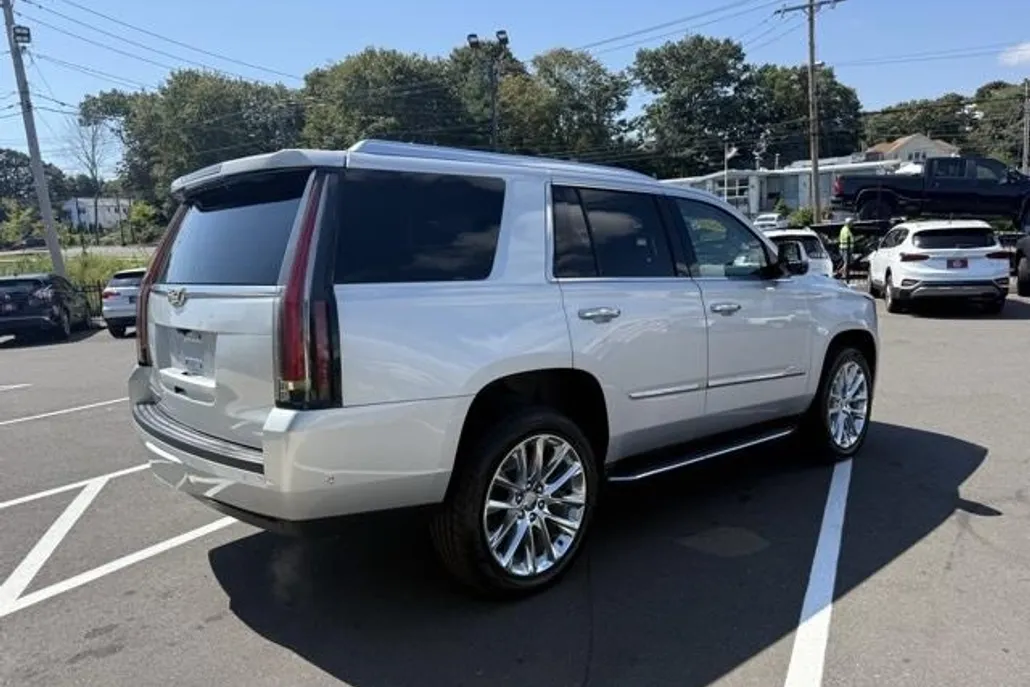 2019 Cadillac Escalade Luxury photo 1