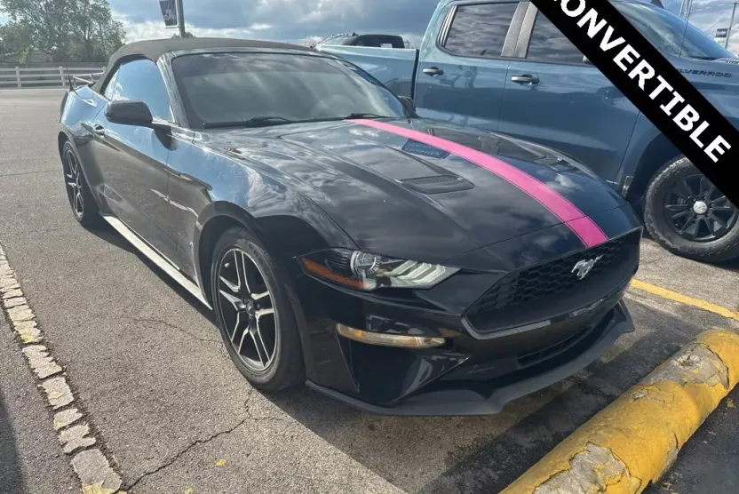 2019 Ford Mustang EcoBoost Premium photo 1