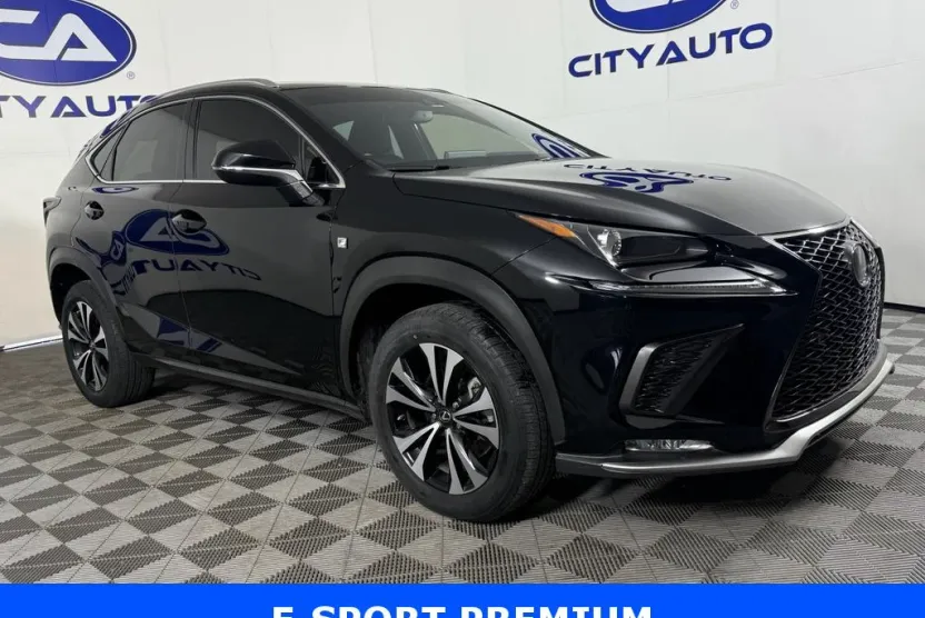 2021 Lexus NX 300 F SPORT photo 1
