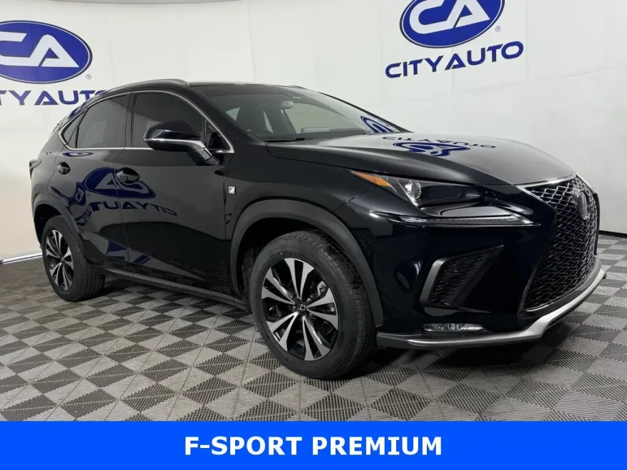 2021 Lexus NX 300 F SPORT photo 1