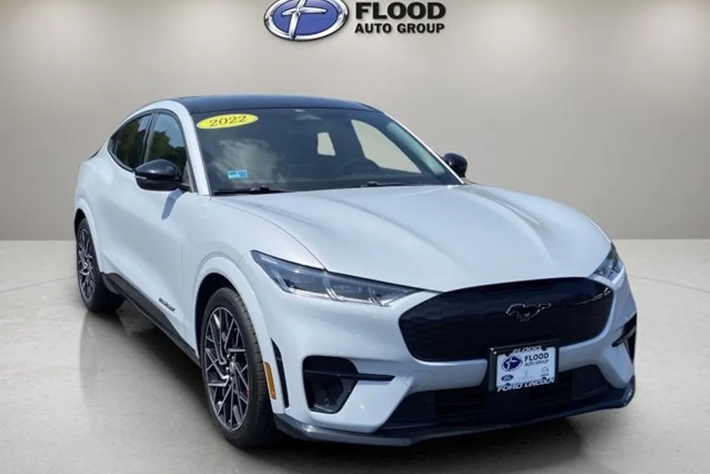 2022 Ford Mustang Mach-E GT photo 1