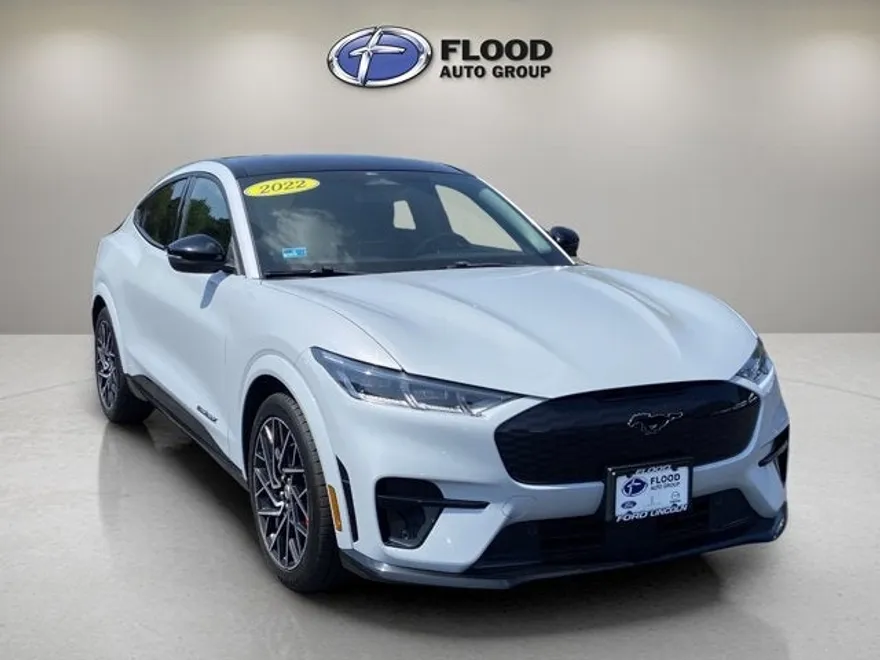 2022 Ford Mustang Mach-E GT photo 1