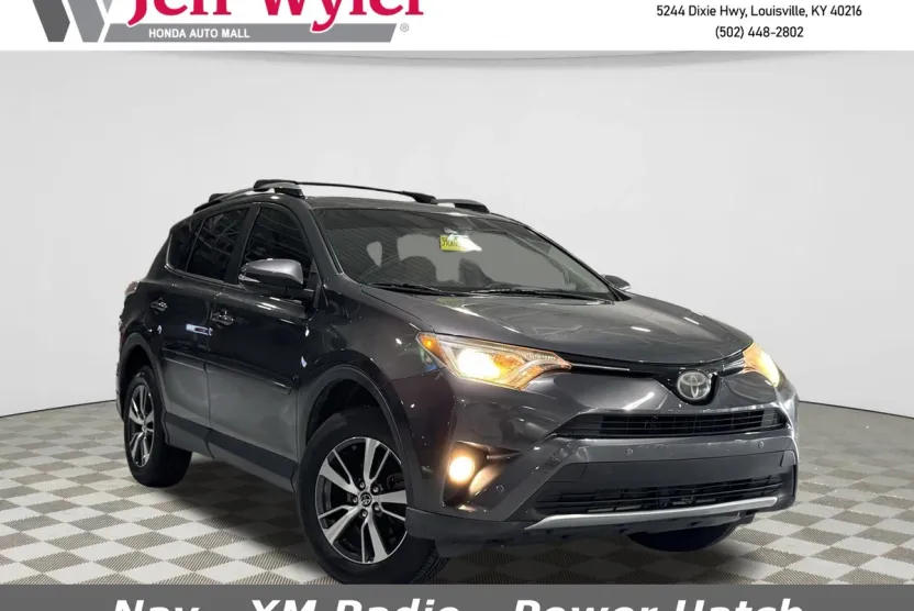 2017 Toyota RAV4 XLE photo 1