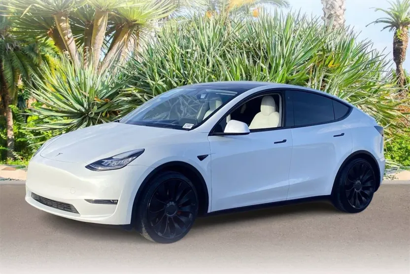 2020 Tesla Model Y Performance photo 1
