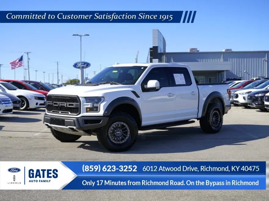 2020 Ford F-150 Raptor photo 1