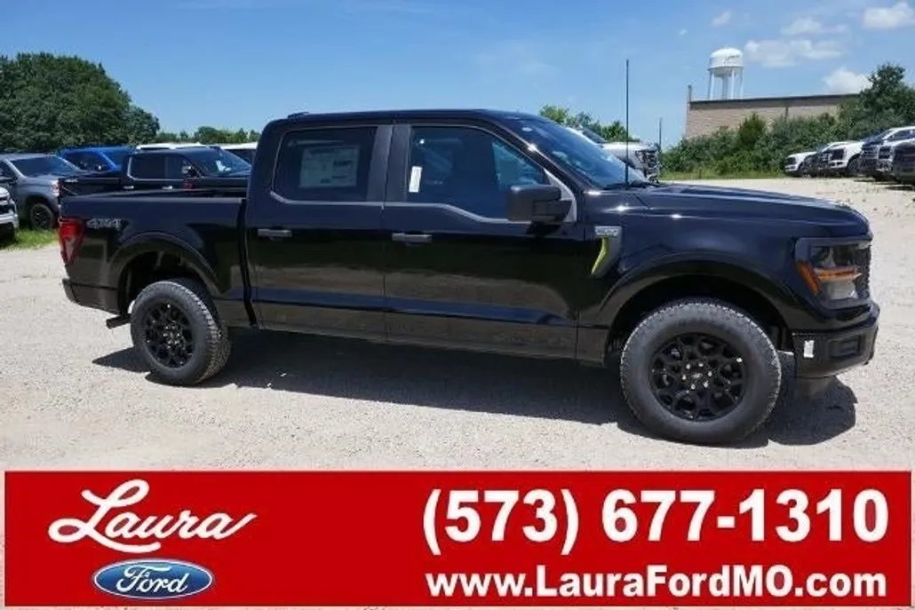 2025 Ford F-150 STX photo 1