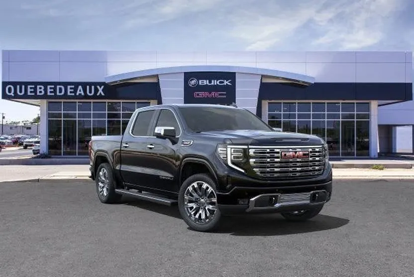 2025 Gmc Sierra 1500 Denali photo 1