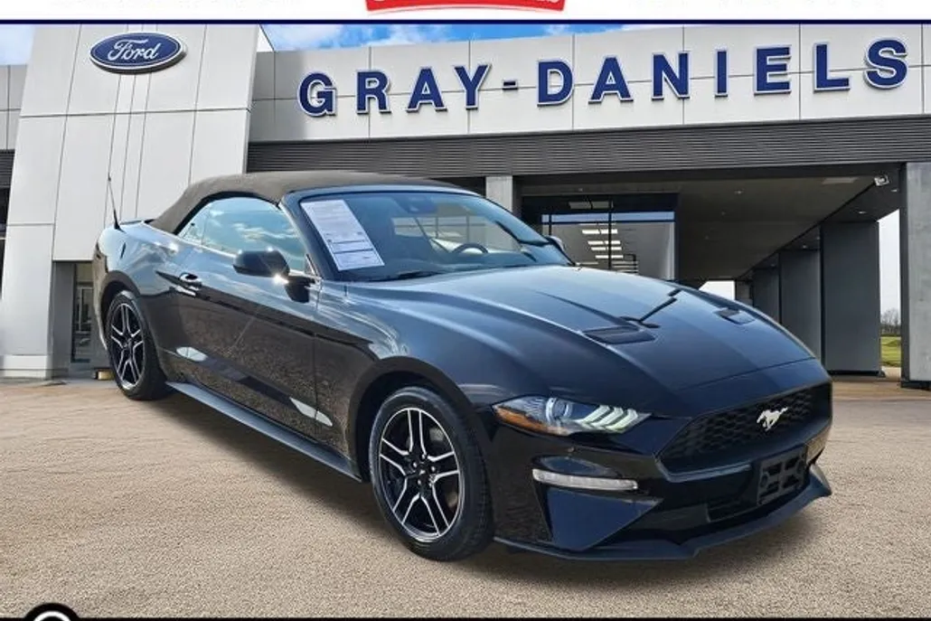 2023 Ford Mustang EcoBoost Premium photo 1