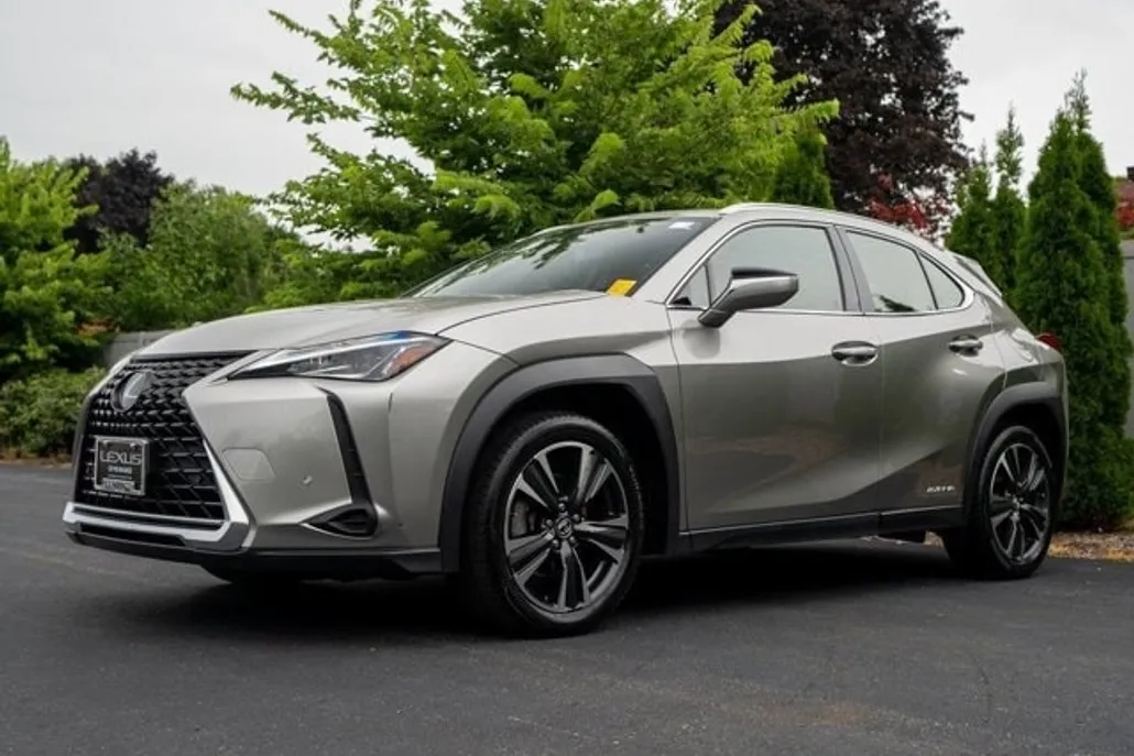 2019 Lexus UX 250h photo 1