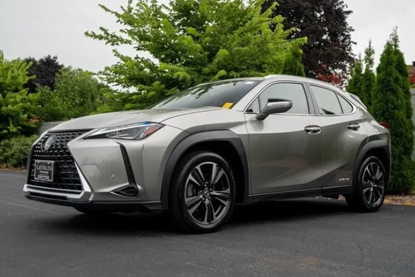 2019 Lexus UX 250h photo 1