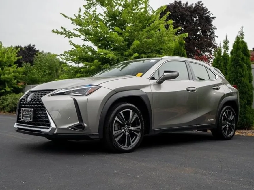 2019 Lexus UX 250h photo 1