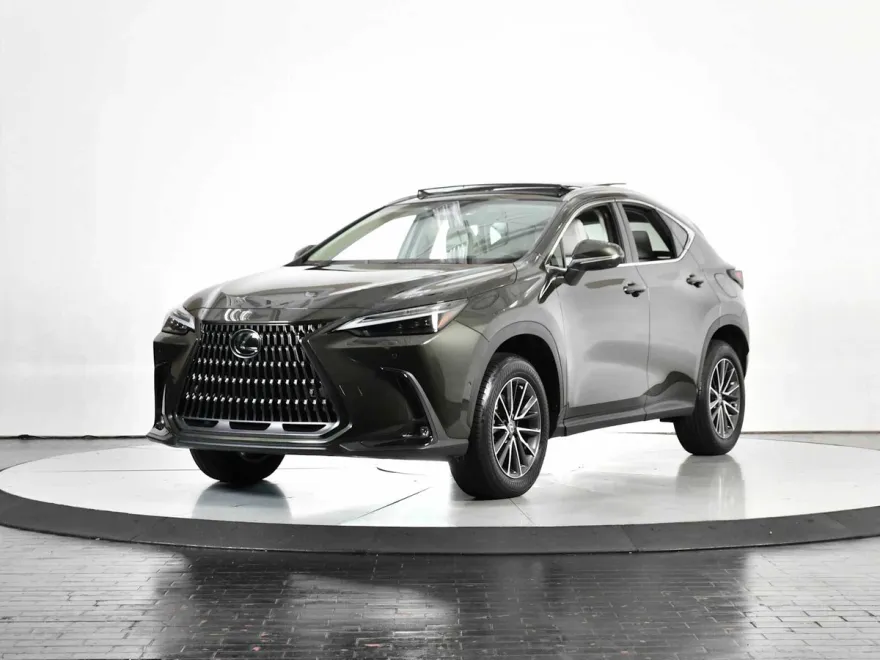 2025 Lexus NX Luxury photo 1