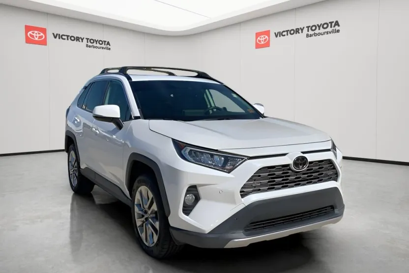 2019 Toyota RAV4 Limited photo 1