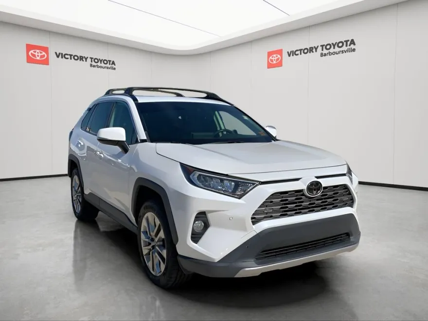 2019 Toyota RAV4 Limited photo 1
