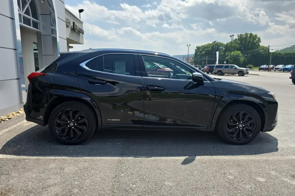 2022 Lexus UX 250h photo 1