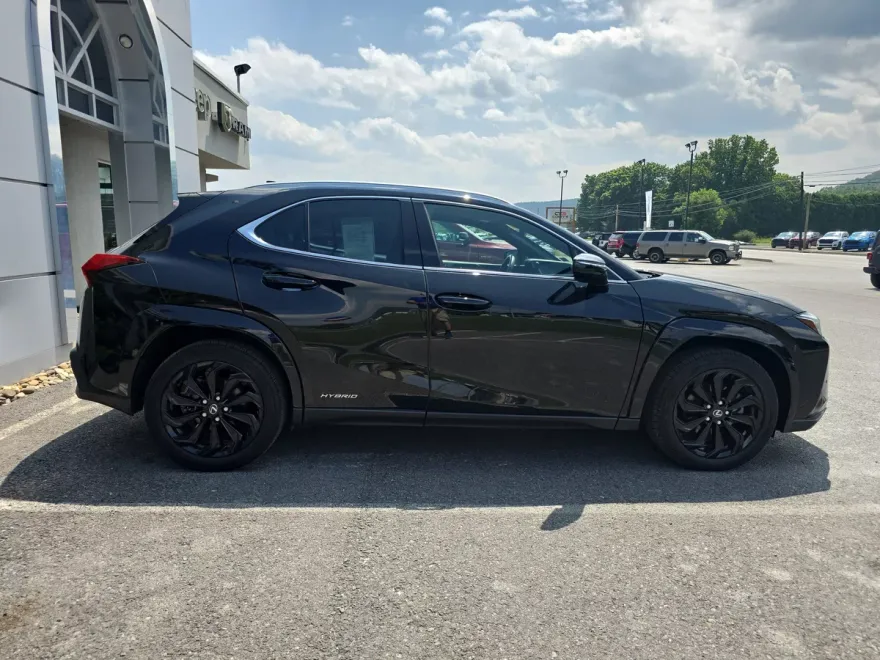 2022 Lexus UX 250h photo 1