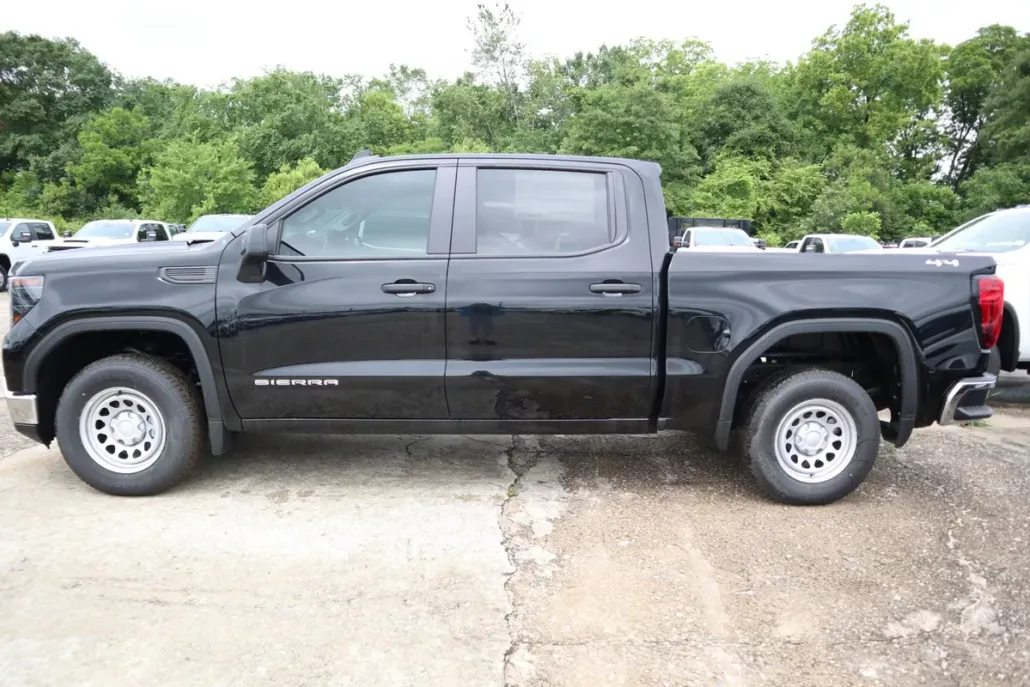 2024 Gmc Sierra 1500 Pro photo 1