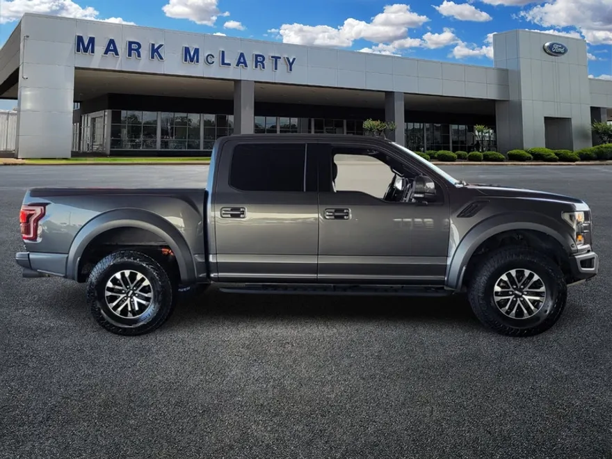 2019 Ford F-150 Raptor photo 1