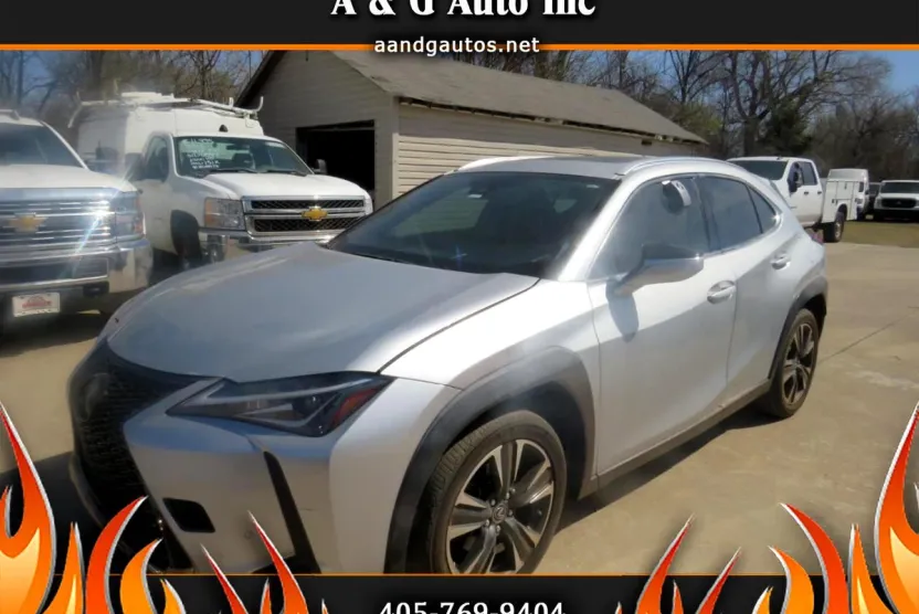 2019 Lexus UX 200 photo 1