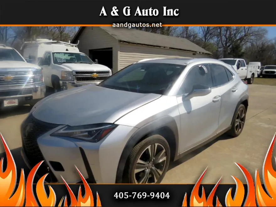 2019 Lexus UX 200 photo 1