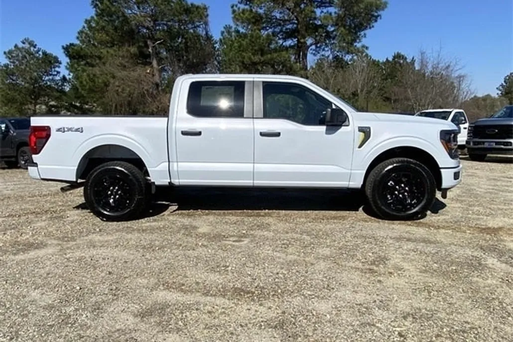 2025 Ford F-150 STX photo 1