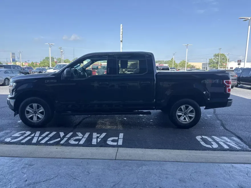 2019 Ford F-150 XL photo 1