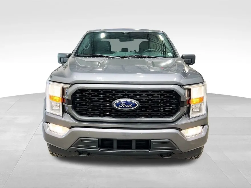 2021 Ford F-150 XL photo 1