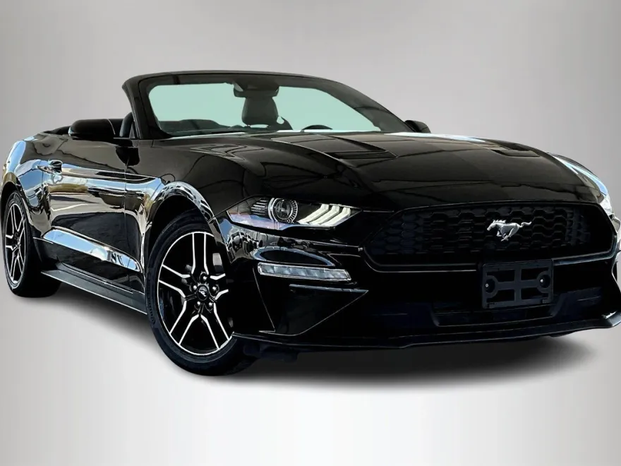 2023 Ford Mustang EcoBoost Premium photo 1