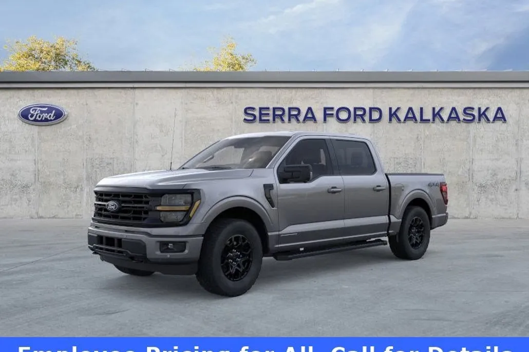 2025 Ford F-150 XLT photo 1