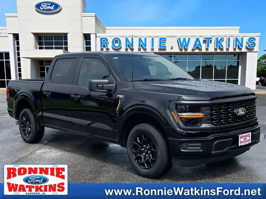 2025 Ford F-150 STX photo 1