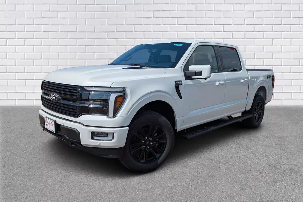 2025 Ford F-150 Platinum photo 1