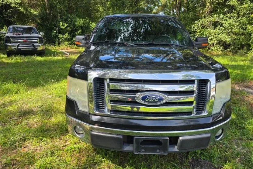 2010 Ford F-150 photo 1