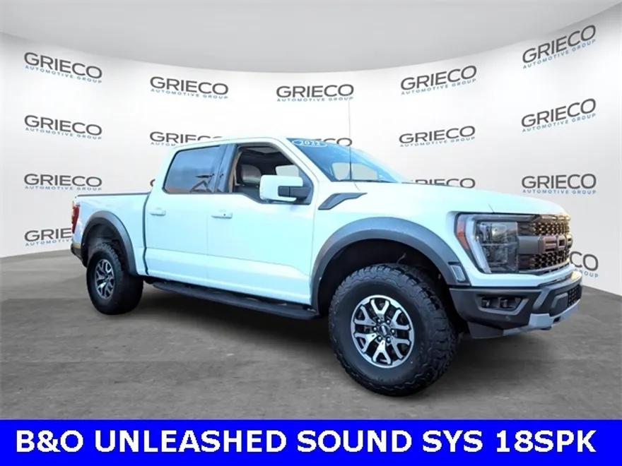 2022 Ford F-150 Raptor photo 1