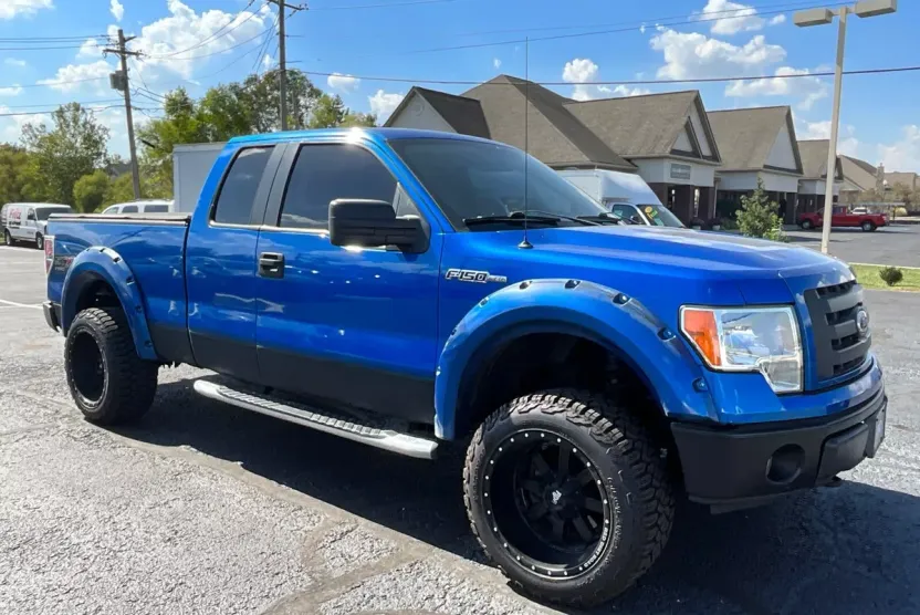 2010 Ford F-150 photo 1