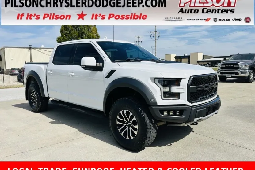 2020 Ford F-150 Raptor photo 1