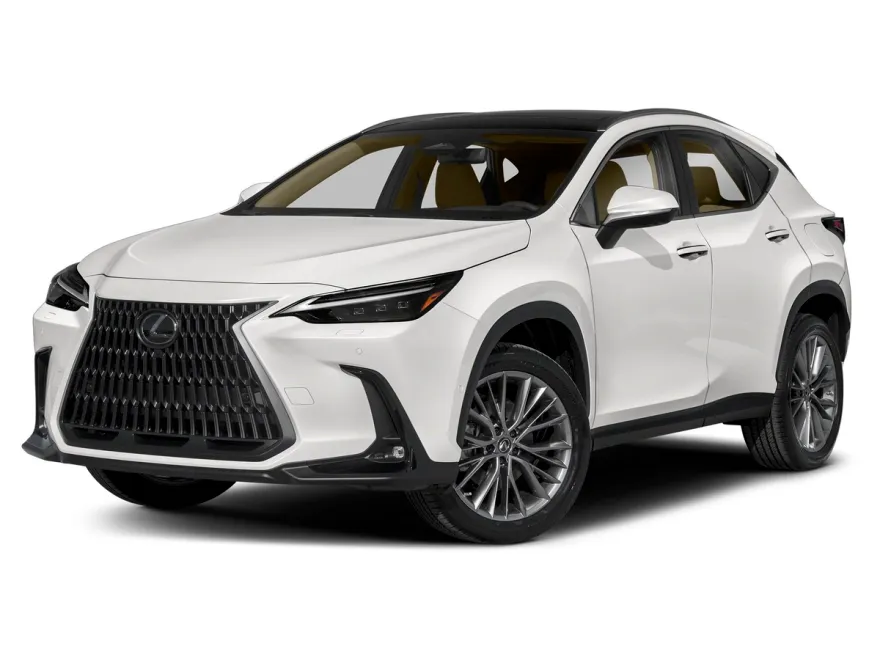 2022 Lexus NX 350h Luxury photo 1