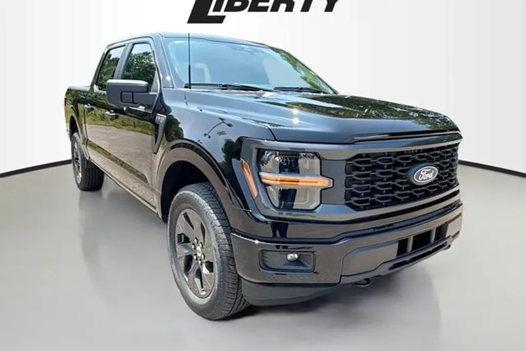 2025 Ford F-150 STX photo 1