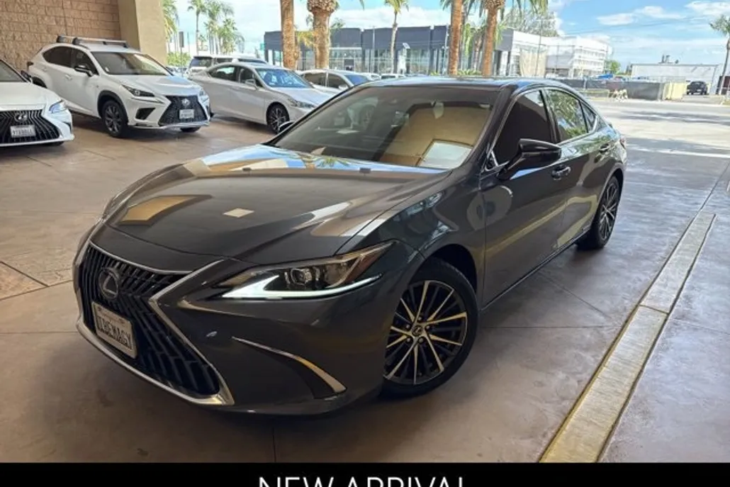 2022 Lexus ES 300h photo 1