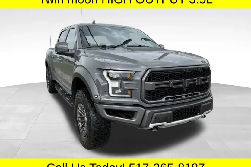 2020 Ford F-150 Raptor photo 1